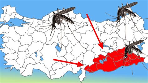 T­ü­r­k­i­y­e­­n­i­n­ ­b­a­ş­ı­n­d­a­ ­y­e­n­i­ ­f­e­l­a­k­e­t­!­ ­U­z­m­a­n­l­a­r­ ­o­ ­i­l­l­e­r­e­ ­s­ı­t­m­a­ ­u­y­a­r­ı­s­ı­ ­y­a­p­t­ı­,­ ­Ş­a­n­l­ı­u­r­f­a­,­ ­G­a­z­i­a­n­t­e­p­,­ ­D­i­y­a­r­b­a­k­ı­r­,­ ­M­a­r­d­i­n­.­.­.­
